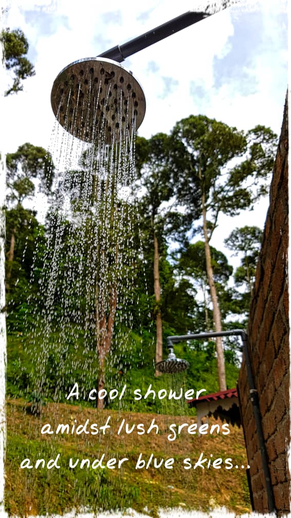 Experience real nature at Rymba Retreat