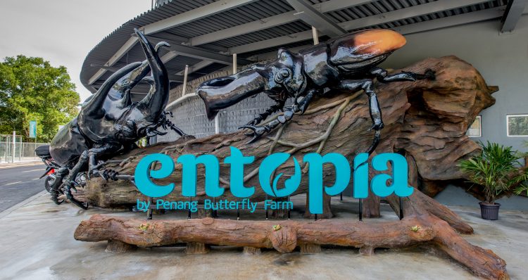 Entopia expecting one millionth visitor