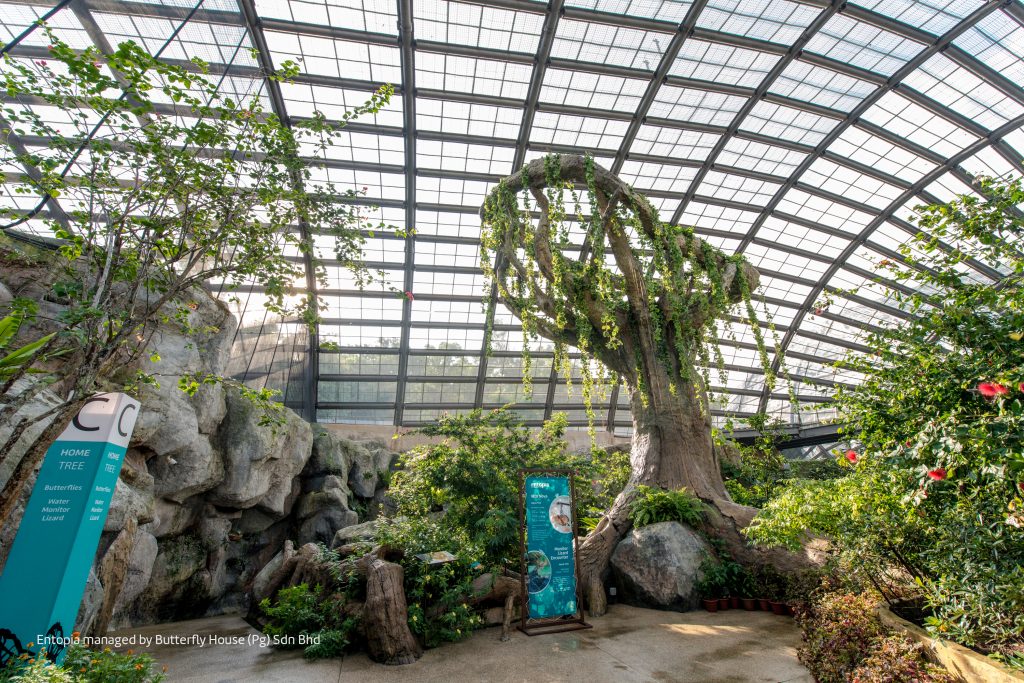 Entopia expecting one millionth visitor