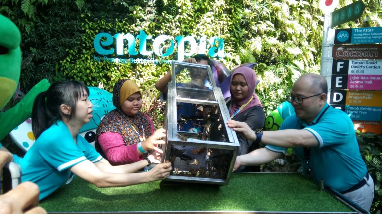 Entopia celebrates one millionth visitor