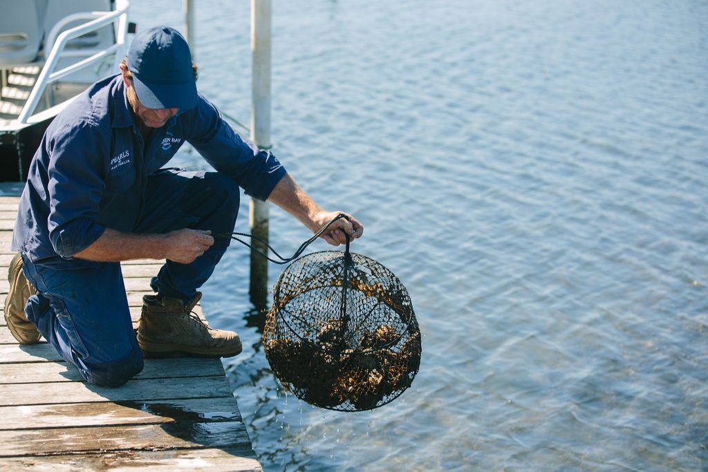 Pearl farm Longlines