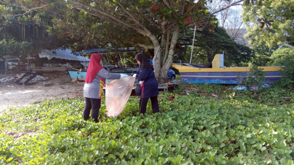 Cleaning the undergrowth near the beach.