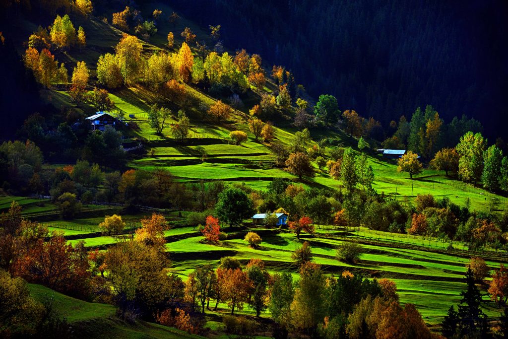 Turkey - Artvin