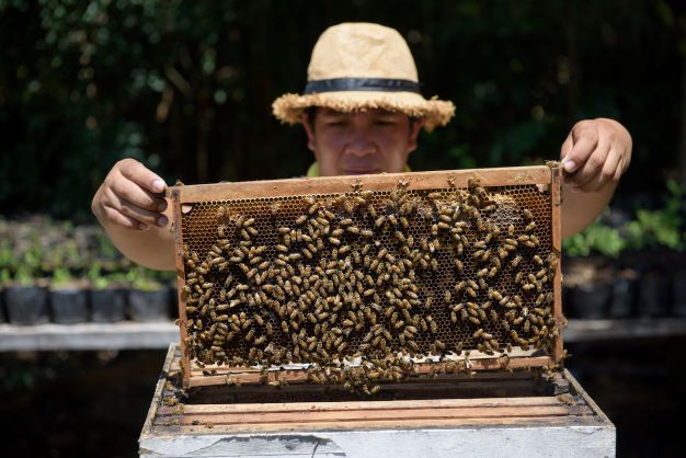 Bohol Bee Farm