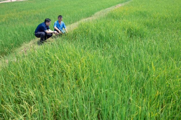 Mr Krisada Techamontreekul, MD, Dusit Foods (left), regularly visits the organic farms with his team