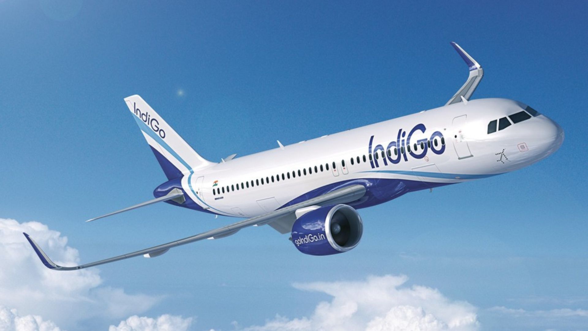 Indigo 1