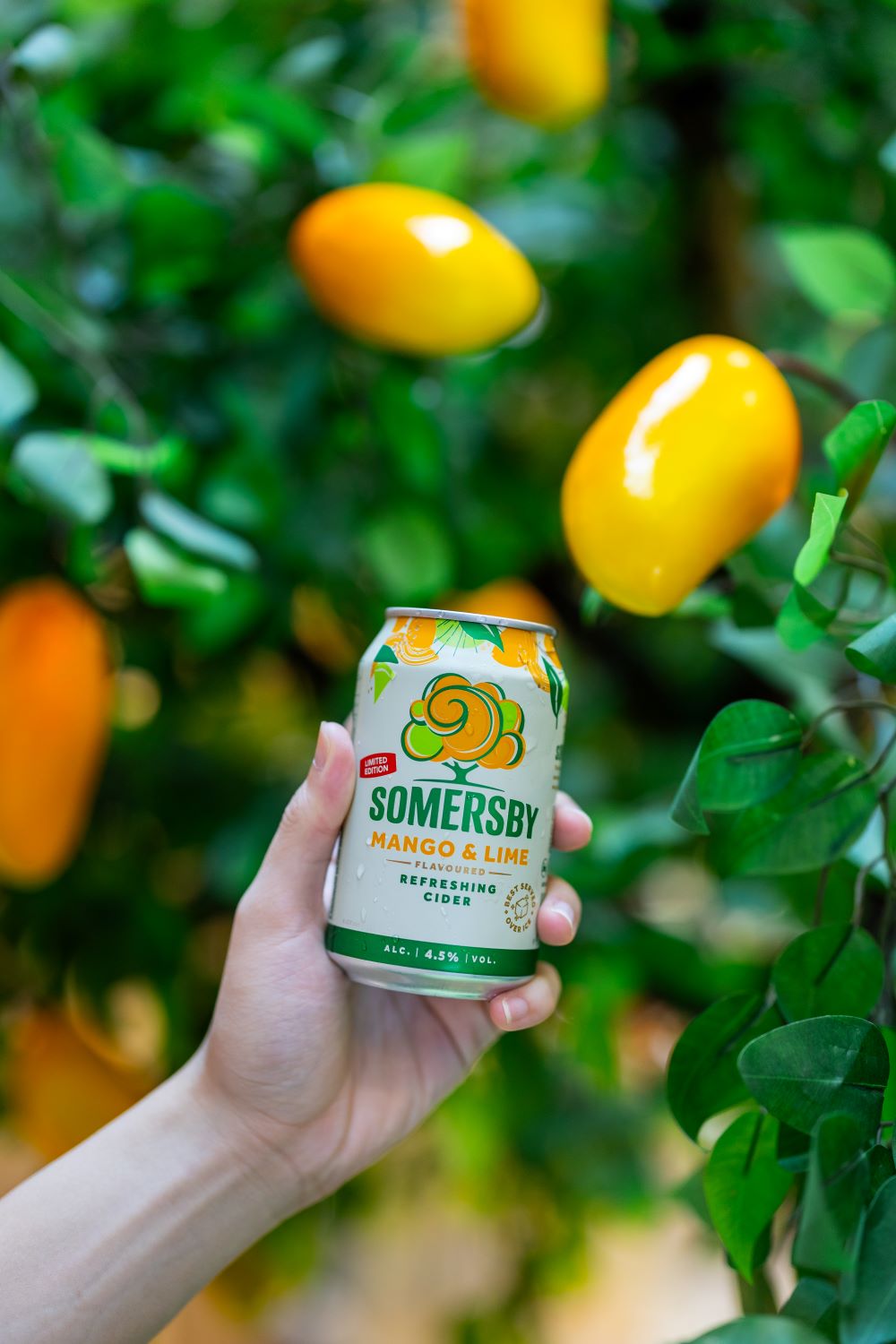 Somersby Mango & Lime 2